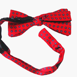 Christian Dior red silk blue, white and black flower accented vintage bowtie