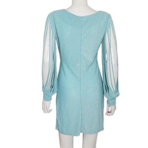 Back View Vintage Aqua Blue sparkly mini spaghetti long sleeve dress